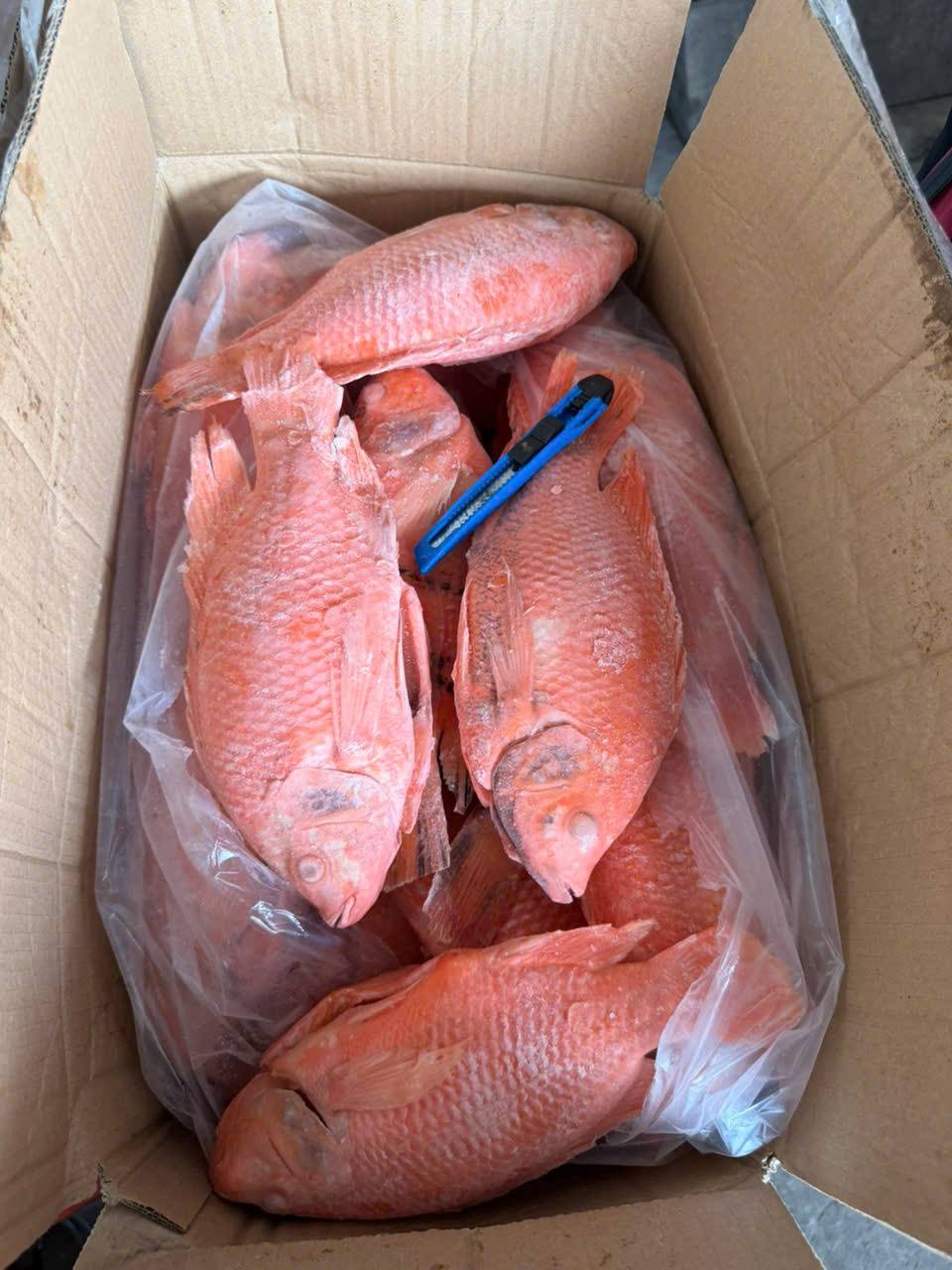 Đối tác