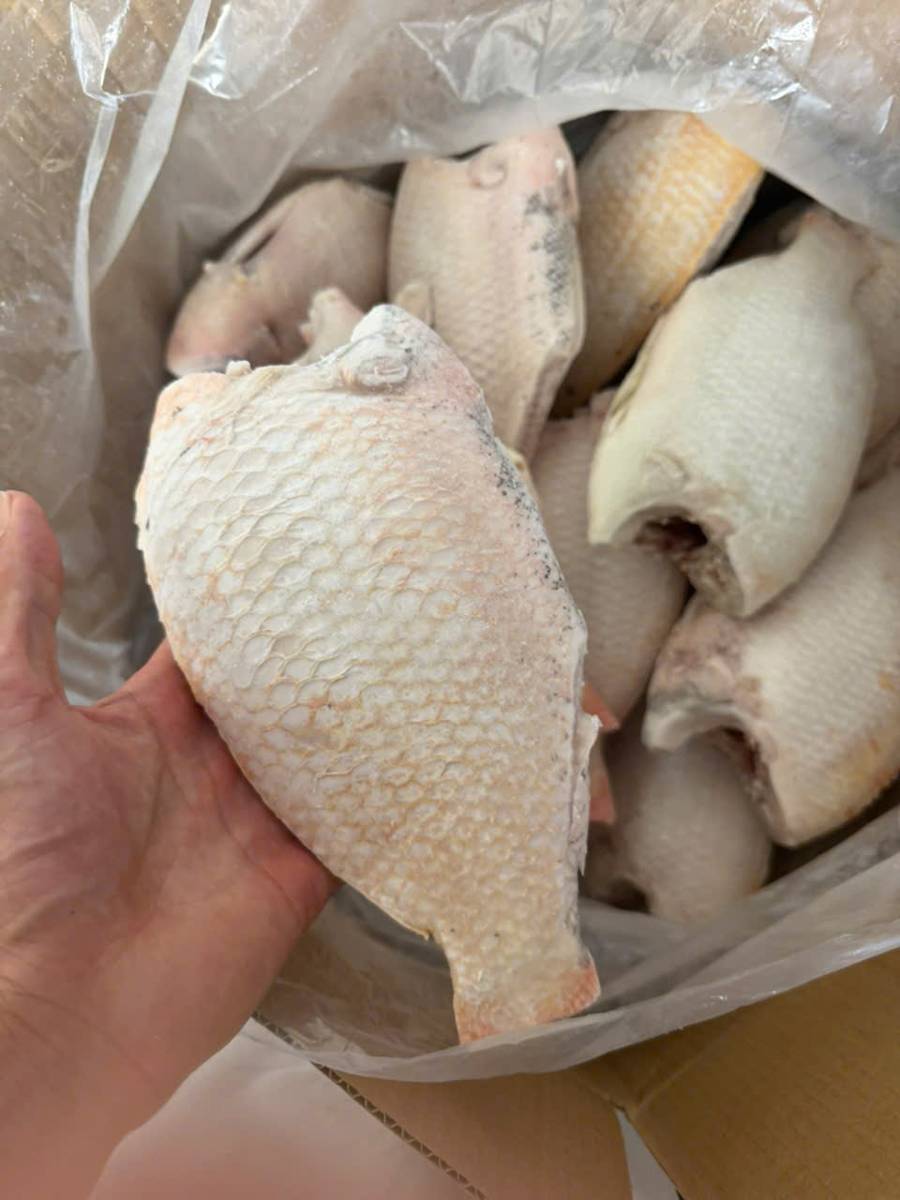 Hình ảnh sản phẩm Ngọc Sương 4