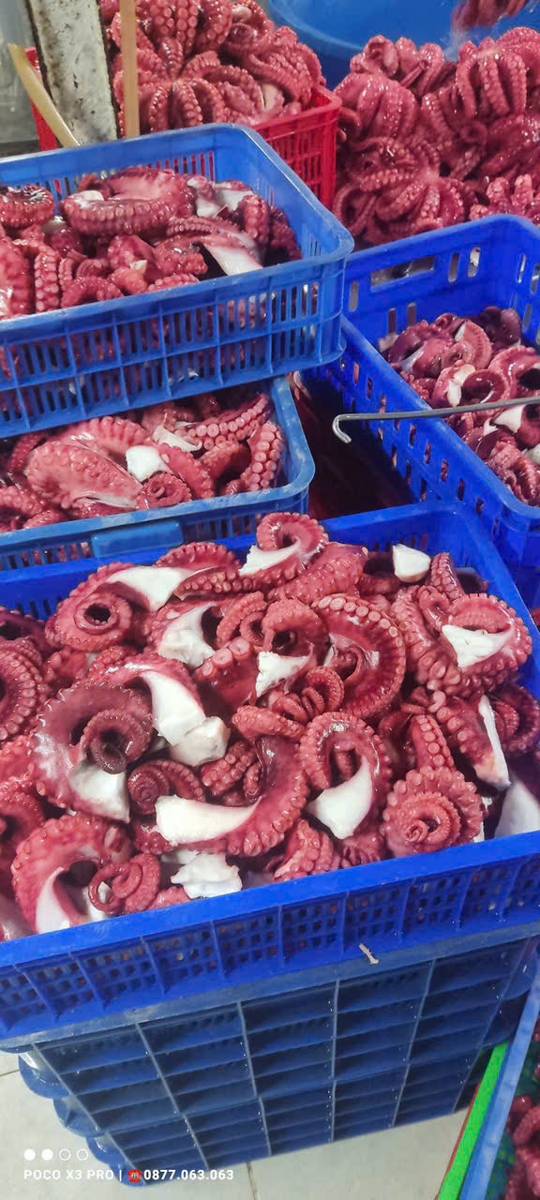 Hình ảnh sản phẩm Ngọc Sương 6