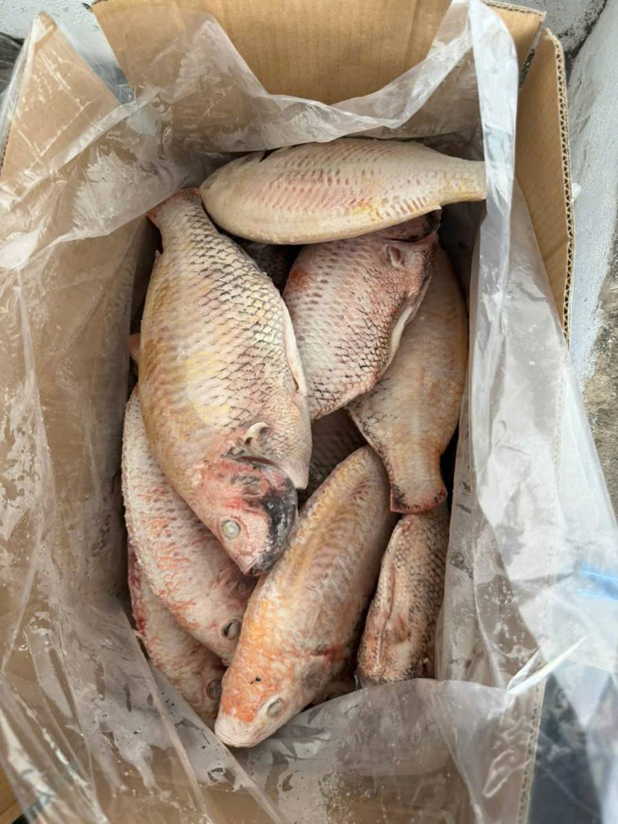 Hình ảnh sản phẩm Ngọc Sương 18