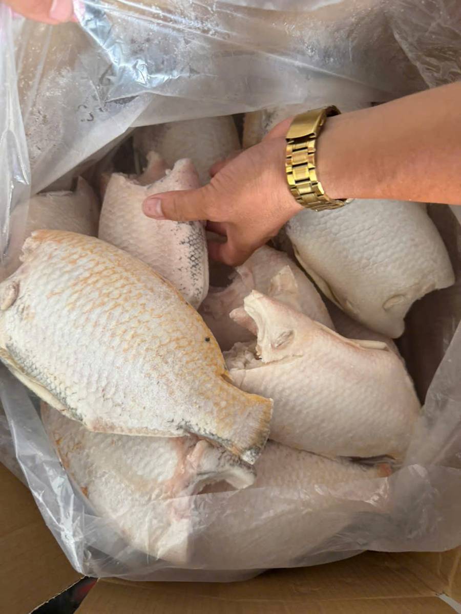 Hình ảnh sản phẩm Ngọc Sương 19